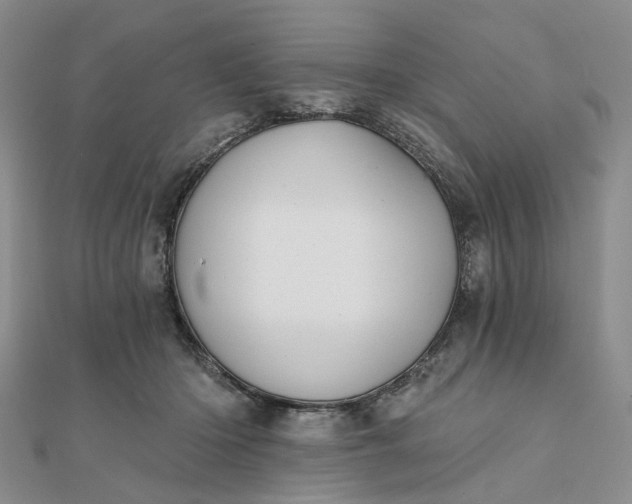 X0000111790414200908061141