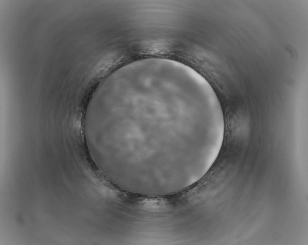 X0000111790415200908061141