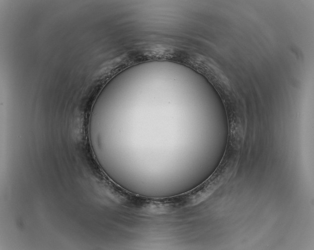 X0000111790416200908061141