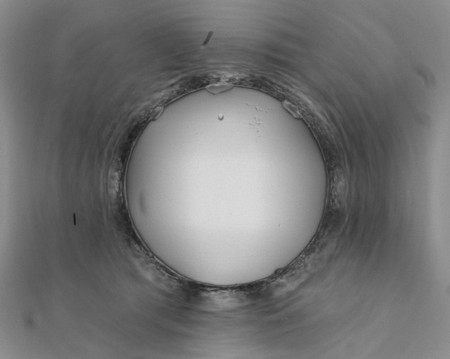 X0000111790417200908061141