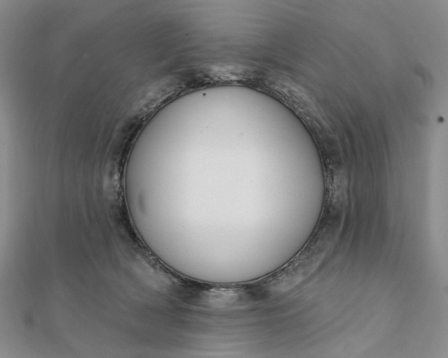 X0000111790418200908061141