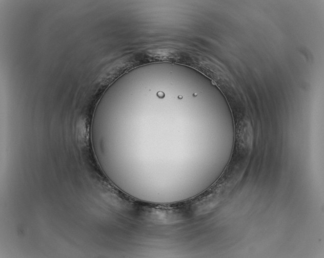 X0000111790420200908061141