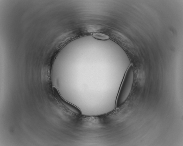 X0000111790421200908061141