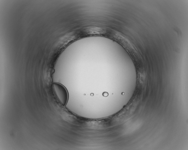 X0000111790422200908061141