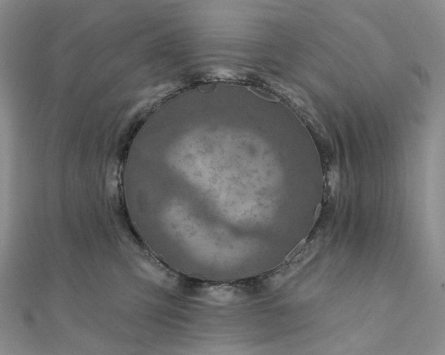 X0000111790423200908061141