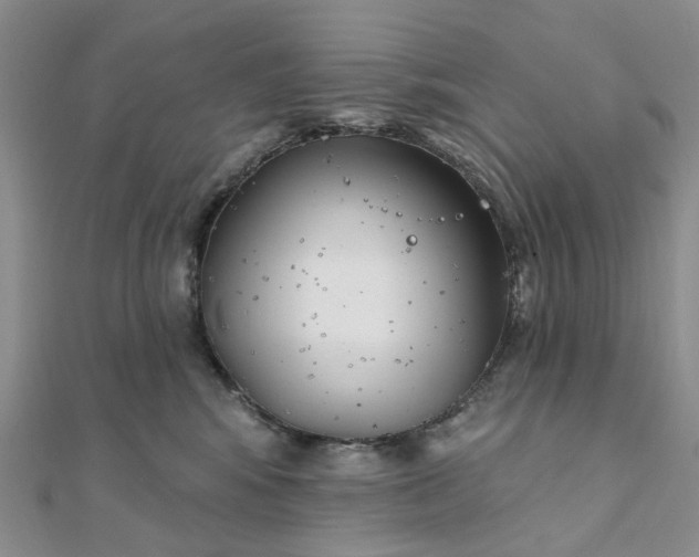 X0000111790424200908061141