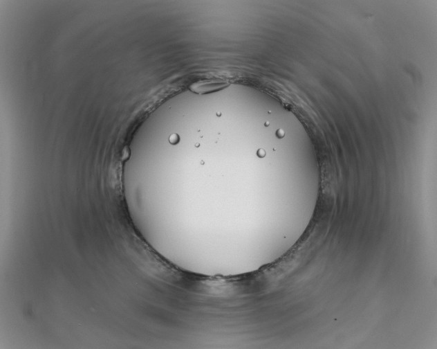 X0000111790425200908061141