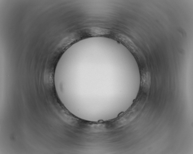 X0000111790426200908061141