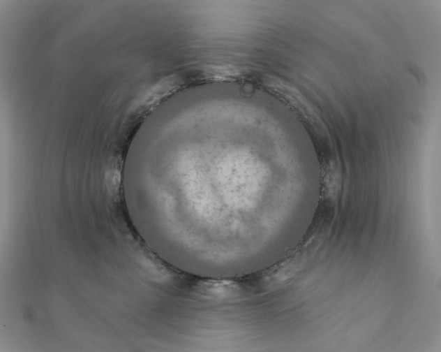 X0000111790427200908061141