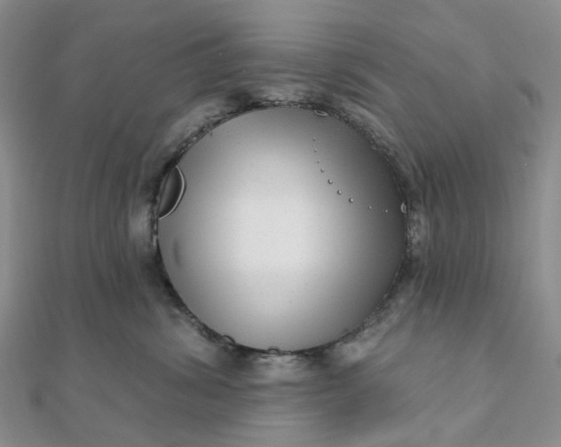 X0000111790428200908061140