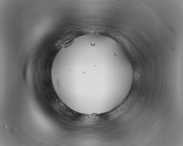 X0000111790429200908061140