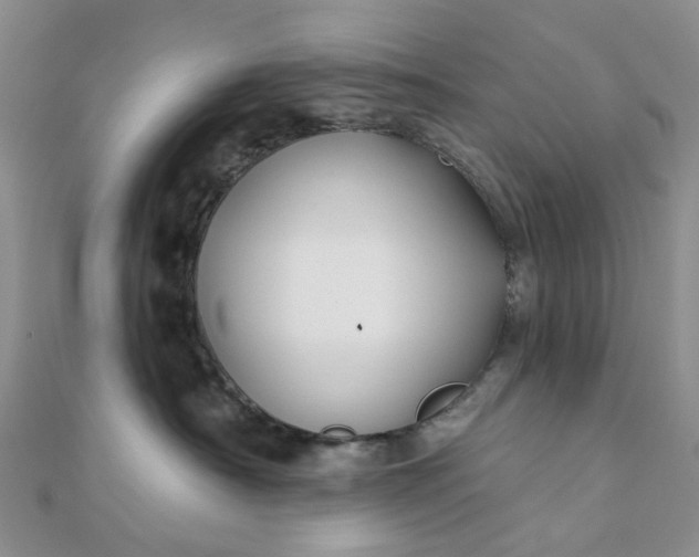 X0000111790430200908061140