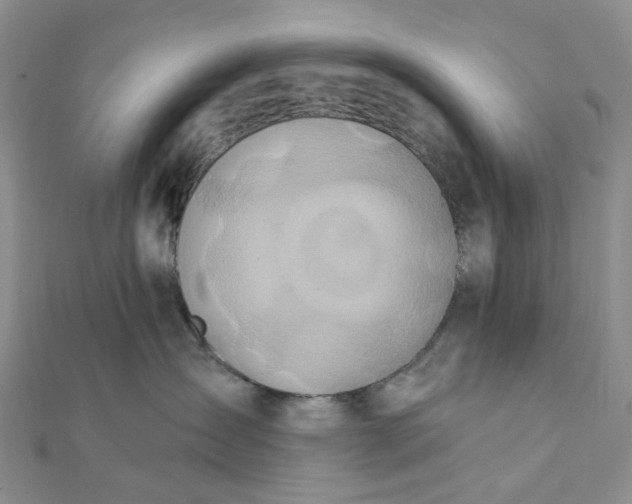 X0000111790431200908061140