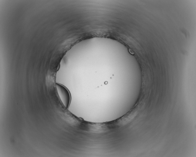 X0000111790432200908061140