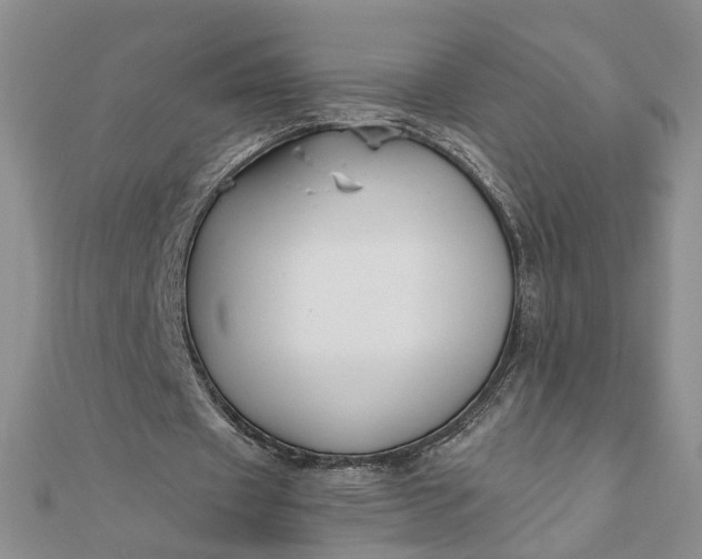 X0000111790433200908061140