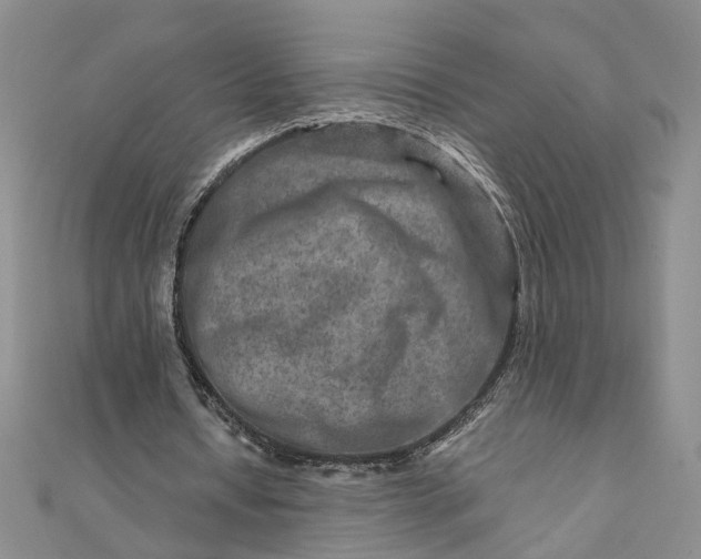 X0000111790434200908061140