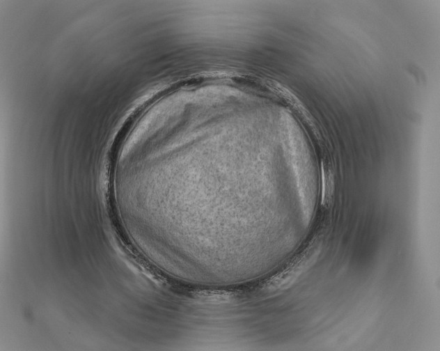 X0000111790435200908061140