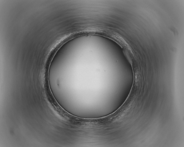 X0000111790436200908061140