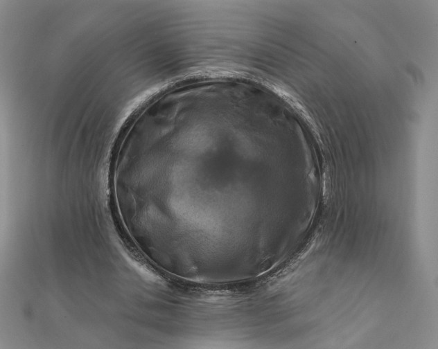 X0000111790438200908061140