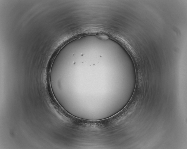 X0000111790439200908061140