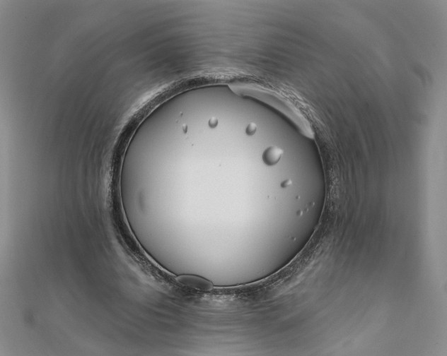 X0000111790440200908061140