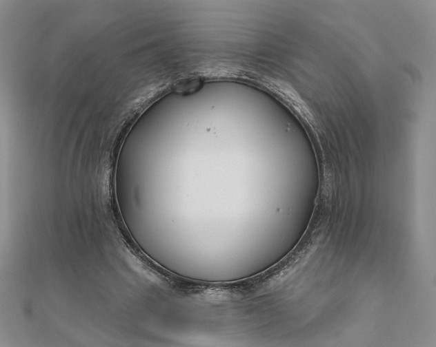 X0000111790441200908061140