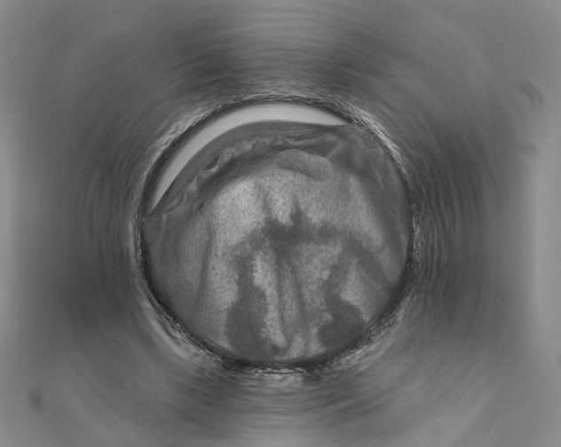 X0000111790443200908061140