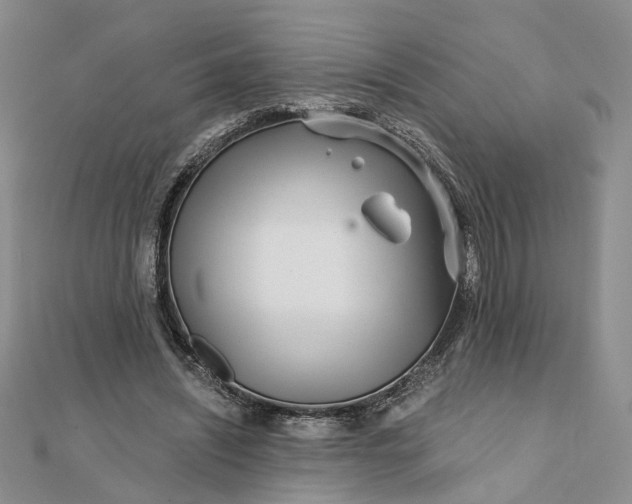 X0000111790444200908061140