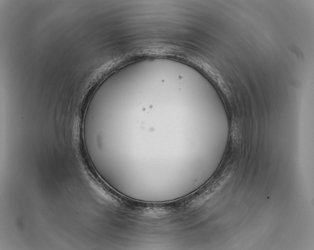 X0000111790445200908061140