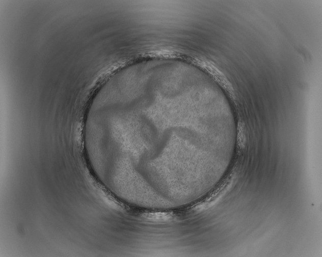 X0000111790449200908061140