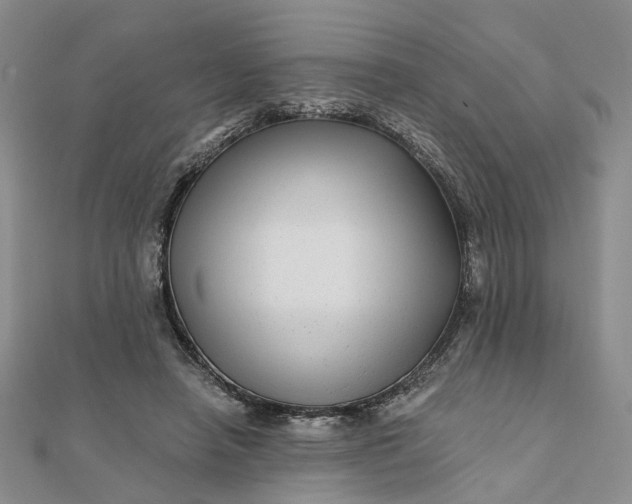 X0000111790450200908061140