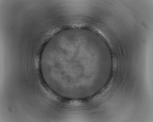 X0000111790451200908061140