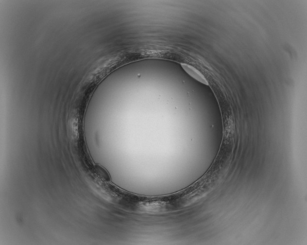 X0000111790452200908061140