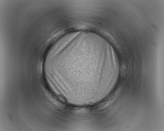 X0000111790454200908061140