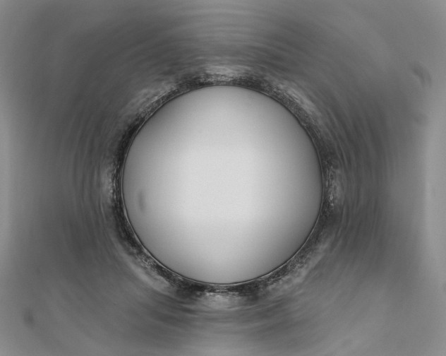 X0000111790455200908061140