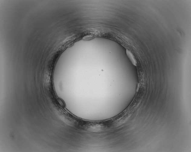 X0000111790456200908061140