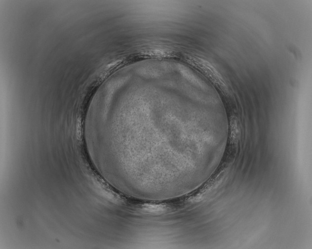 X0000111790457200908061140