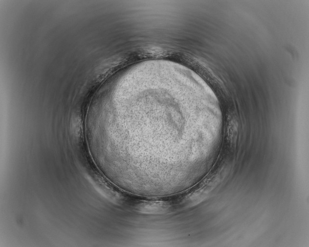 X0000111790459200908061140