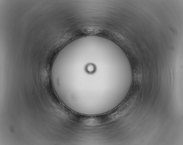 X0000111790460200908061140