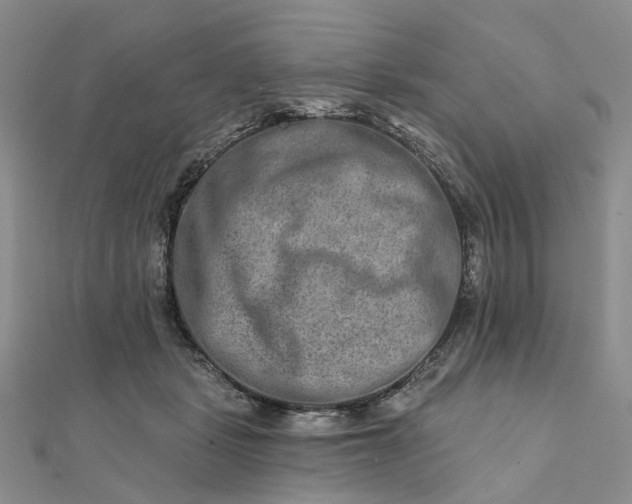 X0000111790461200908061140