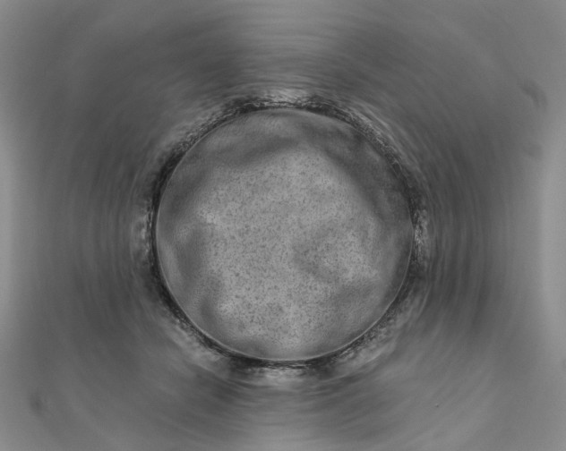 X0000111790462200908061140