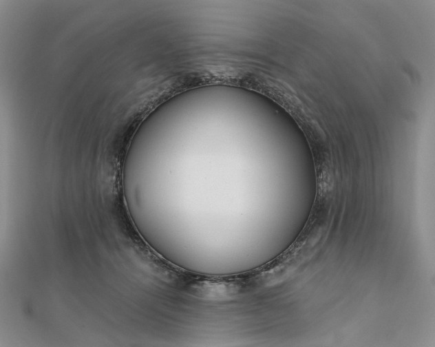 X0000111790464200908061140