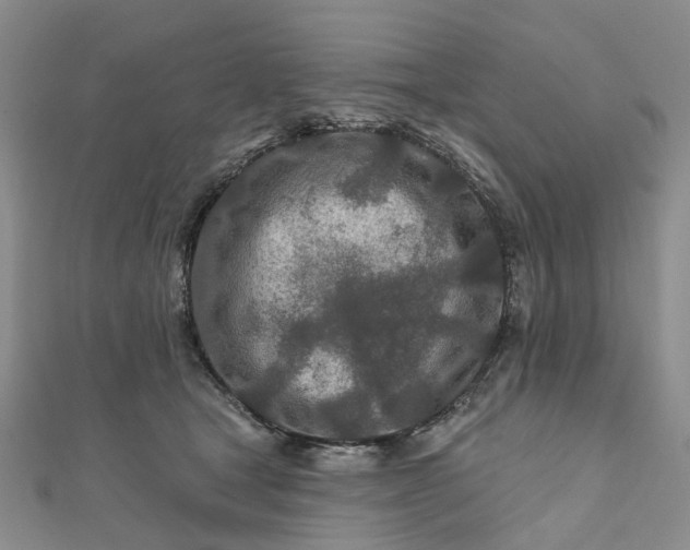 X0000111790465200908061140