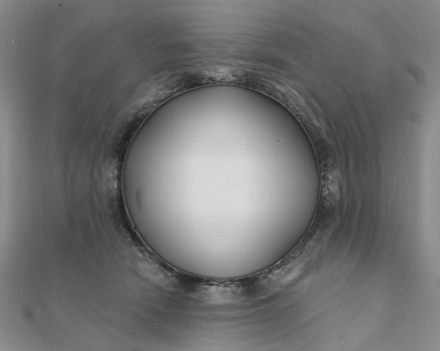 X0000111790466200908061140