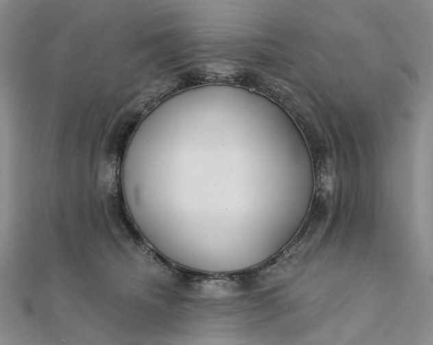 X0000111790468200908061140