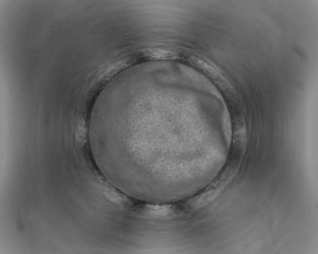 X0000111790469200908061140