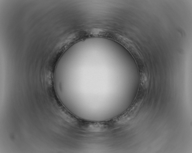 X0000111790470200908061140