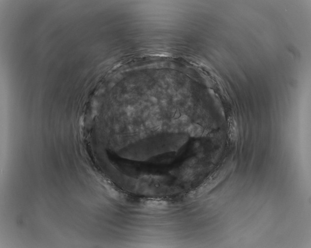 X0000111790471200908061140