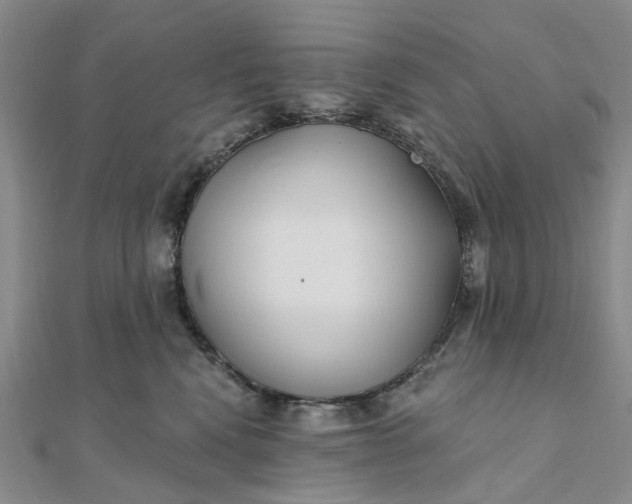 X0000111790472200908061140