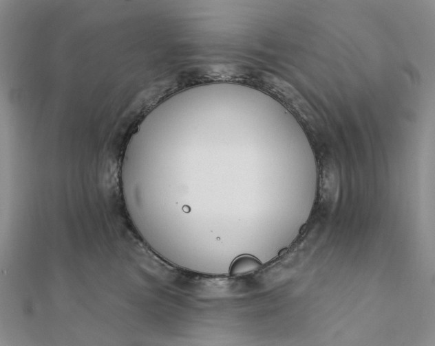 X0000111790473200908061140